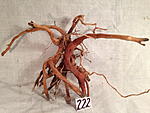 IMG 3747