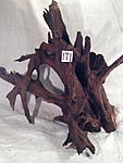IMG 3595