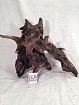 IMG 3592