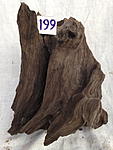 IMG 3672