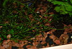  DSC 5436