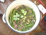 DSCN0003