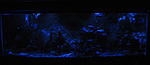 IMG 5602z2z