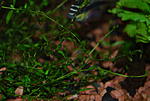  DSC 5437