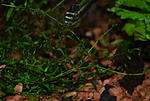  DSC 5438