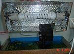 DSC00705