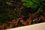  DSC 5425