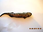 DSCN0057