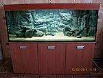 IMG 6657