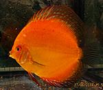 IMG 5063