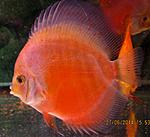 IMG 5060
