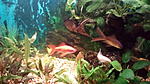 IMG 20170628 102254