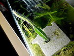 IMG 20160131 191821