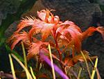 IMG 4316