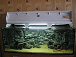 IMG 6660