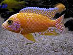 IMG 8193