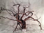 IMG 3875