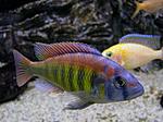 IMG 8191