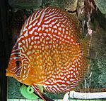 IMG 5057