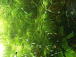 IMG 8480[1]