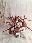 IMG 4063