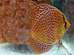 IMG 5684