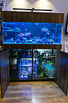 212020DSC05777