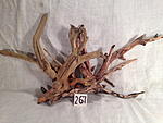 IMG 4064