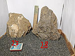 IMG 20200310 183928