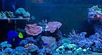 212020DSC05783