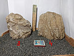 IMG 20200310 182321