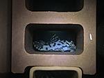 236 sw