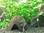 IMG 3894