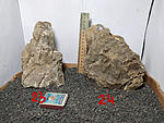 IMG 20200310 183652