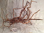 IMG 4065