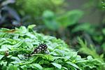 IMG 8696