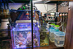 212020DSC05767