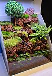 Terrarium