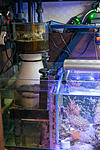 212020DSC05766