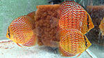 IMG 5681