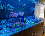 212020DSC05782
