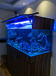 212020DSC05779