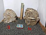 IMG 20200310 183045