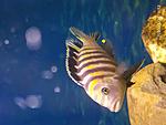 IMG 20200307 191258
