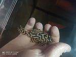 IMG 20200228 140351[1]