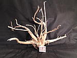 IMG 4151