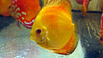 IMG 5599
