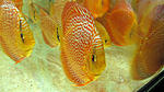 IMG 5793