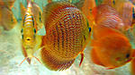 IMG 5786