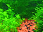 IMG 20200512 165753